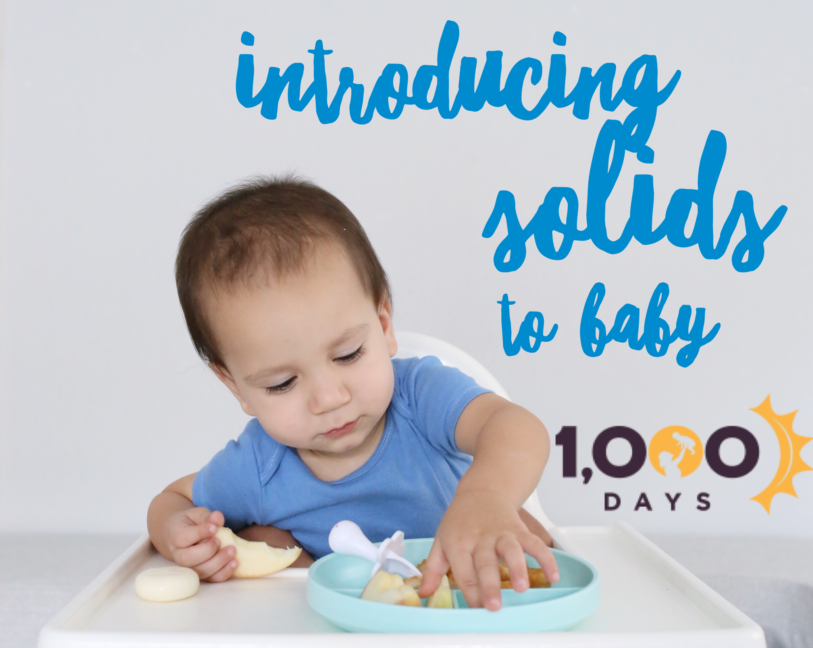 Introducing Solids to Baby! – Laura & Co Blog