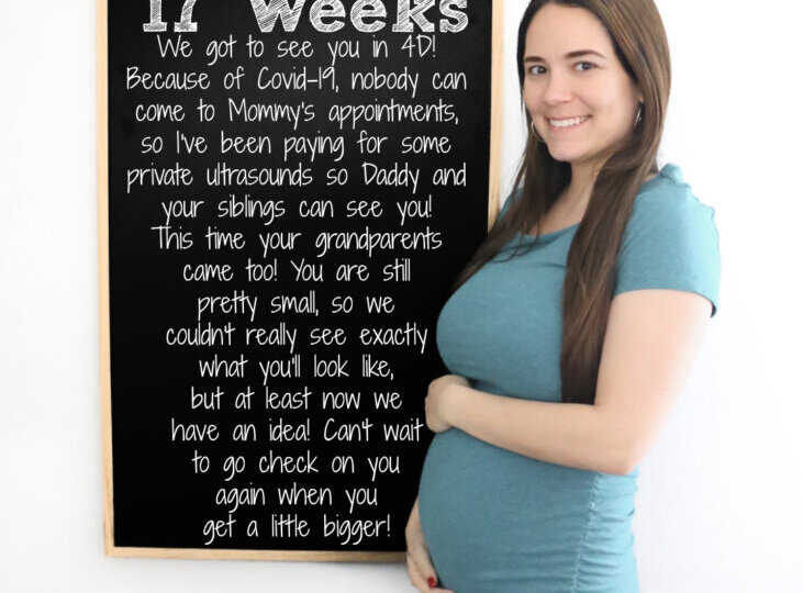 17 Weeks Baby 3